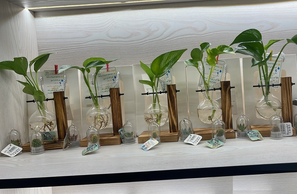 Pothos plant Tree 