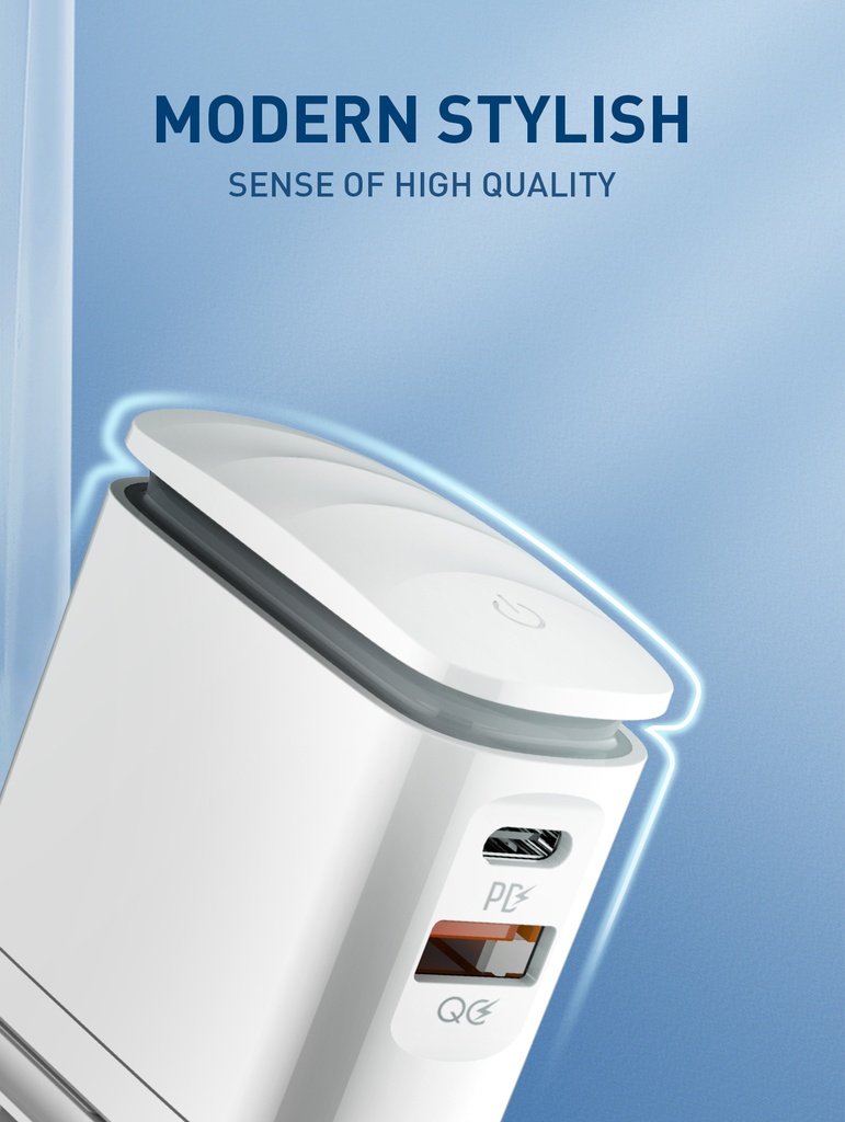 LDNIO HOME CHARGER A2423C