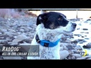 Nite ize RadDog All-In-One Collar + Leash (Medium Blue)