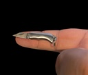 Mini Keychain Persian Knife