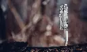 Leatherman REV PEG