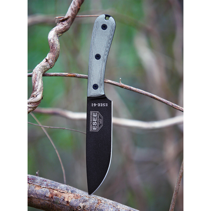 ESEE 